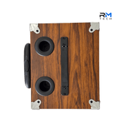 Sing-e JQS911S Vintage Bluetooth Karaoke Speaker with USB, TF Card & Wireless Audio